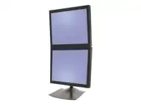 ERGOTRON DS100 Dual Monitor Desk Stand