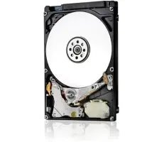 Hitachi Travelstar 7K1000 7200 RPM, 1000 GB, HTS721010A9E630