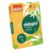 Värvipaber REY ADAGIO A4, 80g/m2, 500 lehte, kuldkollane (nr.60)