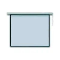 Ekraan elektriline 2x3 PROFI, 167",300x300cm