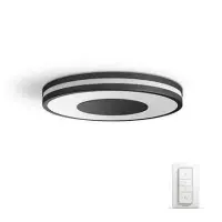 Smart Light Bulb|PHILIPS|32 Watts|2400 Lumen|Number of bulbs 1|Black|915005402301