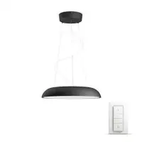 Smart Light Bulb|PHILIPS|39 Watts|3000 Lumen|Number of bulbs 1|Black|915005402101