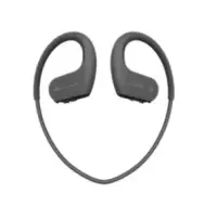 Sony | Waterproof and dustproof Walkman | NW-WS623B | Yes | No | Yes | Black