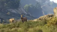 GAME GRAND THEFT AUTO V//PS4 SONY – pilt 4