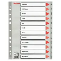 Vahelehed Esselte A4 plastik JAN-DEC