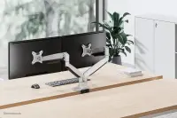 Neomounts NM-D750DSILVER monitori kinnitus ja alus 81,3 cm (32") Laud Hõbe – pilt 12