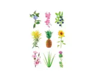 SMART HOME EXPERIMENTAL REFILL/3-PACK EX-REFILL-3 CLICK&GROW