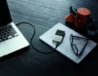 External SSD|WESTERN DIGITAL|My Passport|256GB|USB 3.1|WDBK3E2560PSL-WESN – pilt 3