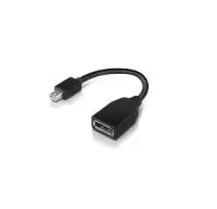 Lenovo 4X90L13971 DisplayPort-kaabel Mini DisplayPort Must