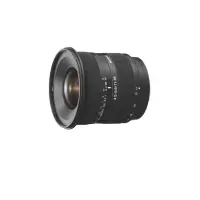 Sony SAL-1118