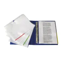 Signaaltaskud Esselte A4 punane, köidetav, 105 mrk, GlassClear, 100 tk