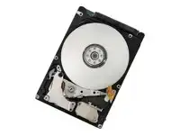 WESTERN DIGITAL TS Z7K500 320GB EA RV