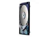 HGST Travelstar Z5K500 250GB HDD