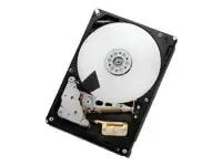 WESTERN DIGITAL MegaScale DC 4000.B 4TB