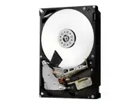 HGST Ultrastar 7K6000 2TB HDD