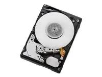 WESTERN DIGITAL Ultrastar C10K900 600GB