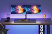 NEOMOUNTS Monitor Dual-DeskMount 10-32i – pilt 19