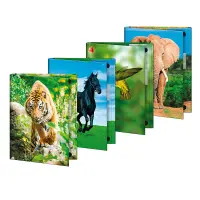 Mapp-kaaned Brunnen A4, loomamotiividega, assortii