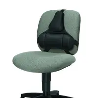 Seljatugi FELLOWES Professional