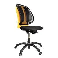 Seljatugi Fellowes Office Suites™ Mesh Back Support