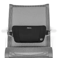 Seljatugi FELLOWES PlushTouch™ (8026501), must – pilt 2