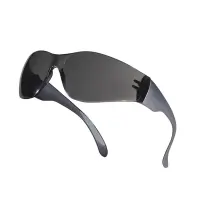 Kaitseprillid DELTA PLUS Brava2, hall/must
