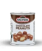 Maapähklid šokolaadis SALYSOL, 65g (kogus 2 tükki)