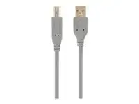 GEMBIRD CCP-USB2-AMBM-6G USB 2.0 – pilt 2