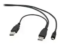 GEMBIRD CCP-USB22-AM5P-3 Gembird Dual US