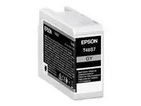 EPSON Singlepack Gray T46S7 UltraChrome