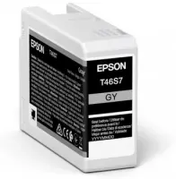 EPSON Singlepack Gray T46S7 UltraChrome – pilt 3