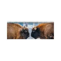 2912870726, Lauakalender Kartong Buffalo