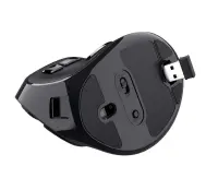 Trust Voxx hiir Kontor Parempoolne RF juhtmeta ühendus + Bluetooth Optiline 2400 DPI – pilt 13