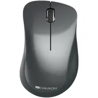 CANYON MW-11, 2.4 GHz Wireless mouse,with 3 buttons, DPI 1200, Battery:AAA*2pcs,Black,67*109*38mm,0.063kg