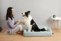 PETKIT | Deep Sleep All Season Pet Bed M | Green – pilt 3
