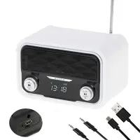 Adler | Bluetooth Radio | AD 1185 | AUX in | White – pilt 2