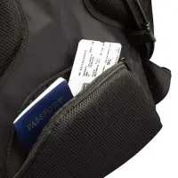 Case Logic | RBP217 | Fits up to size 17.3 " | Backpack | Black – pilt 9