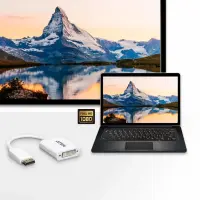 ATEN VC965-AT videokaabliadapter DisplayPort DVI-I Valge