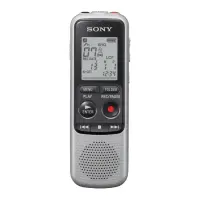 Sony ICD-BX140 Grey, MP3 playback, 4GB Digital Voice Recorder with MP3/HVXC recording/playback