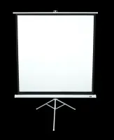 Elite Screens | Tripod Series | T113NWS1 | Diagonal 113 " | 1:1 | Viewable screen width (W) 203 cm | White