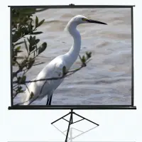 Elite Screens | Tripod Series | T100UWV1 | Diagonal 100 " | 4:3 | Viewable screen width (W) 203 cm | Black – pilt 3