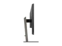Philips | P Line | 439P1/00 | 43 " | VA | 4K UHD | 16:9 | 60 Hz | 4  ms | 3840 x 2160 | 400 cd/m² | Headphone output | HDMI ports quantity 3 | Warranty 36 month(s) – pilt 13