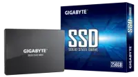 Gigabyte SSD Kõvaketas GP-GSTFS31256GTND 256 GB