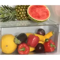 Snaige Refrigerator FR240-1161AA-MASNJ0A Free standing, Double door, Height 144 cm, A+, Fridge net capacity 166 L, Freezer net capacity 46 L, Silver