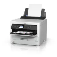 Epson C13T01C100 | Ink | Black – pilt 2