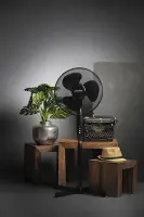 Mesko | Fan | MS 7311 | Stand Fan | 45 W | Diameter 40 cm | Number of speeds 3 | Oscillation | Black – pilt 6