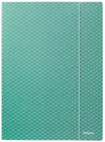 Kummiga mapp Esselte, A4, kartong, roheline