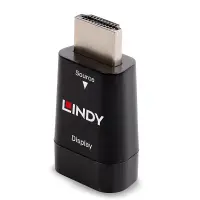 Lindy 38194 kaabli soomuutja HDMI Type A (Standard) VGA Must – pilt 3