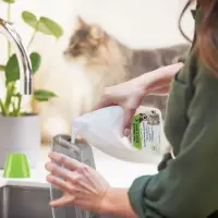 Bissell | PET Spot and Stain Portable Carpet Cleaning Solution | 1000 ml – pilt 3