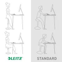 Pukktooll Leitz Ergo Cosy Active Sit Stand Stool 2 in1 – pilt 5